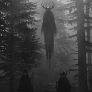 why the wolf pack, when you're the whole package