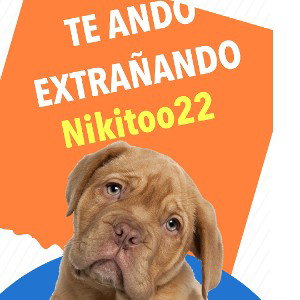 NIKITOO 22 - te ando extrañando 