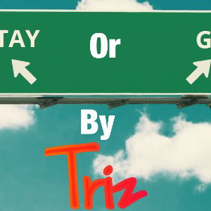 Leave or Stay by Triz
