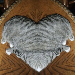 fuh cum oh fur
