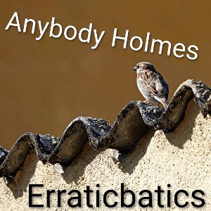 Anybody Holmes - Erraticbatics 2025-11-22 09_52