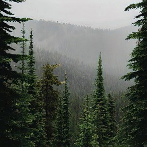 nastoyahiq rap