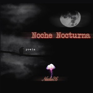 Noche Nocturna 