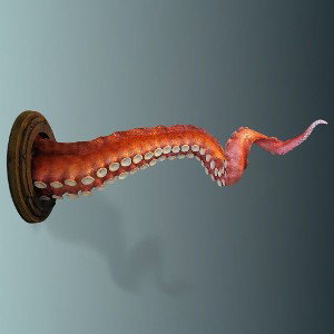 Tentacle - Librashtt