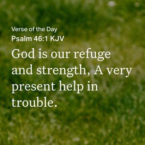 joy in the LORD