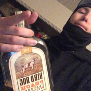 BANGer (2025)