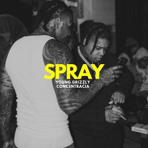 Spray