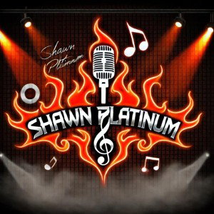 SHAWNPLATINUM - all alone now