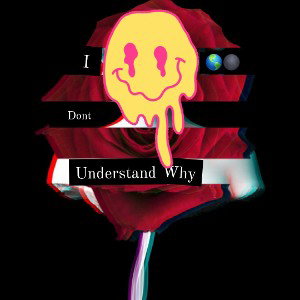 I Dont Understand Why