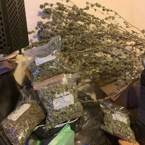 Kitchen Queen Stoner