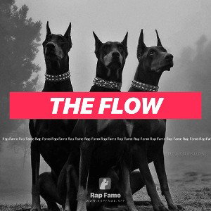 The flow