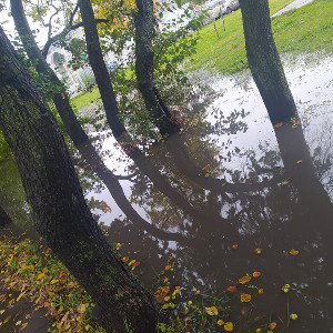 Золотая осень🍁🍂