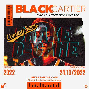 SHAKE D-GAME SNIPPET (coming 24.10) 