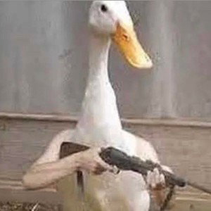 duck fucked