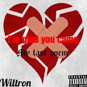 Wiltron - Im glad you came _My last poem_