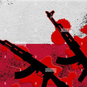 Witamy w Polsce