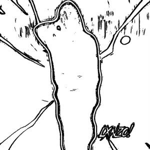mayweather hook (feat. 1ktyy)