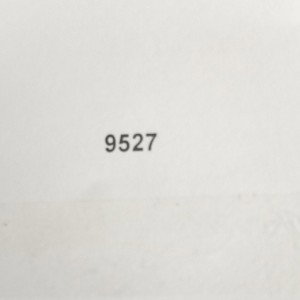 momen taneo