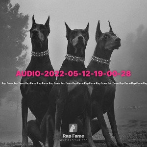 AUDIO-2022-05-12-19-00-28