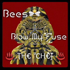 Bees🐝 - Blow my fuse ft The chef