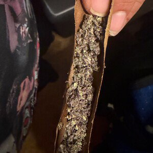 dead opp blunt