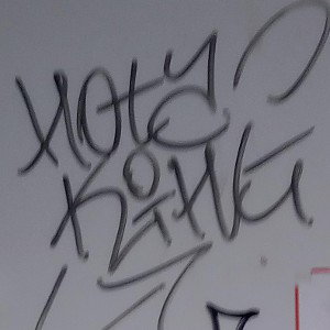 SHEFF0101