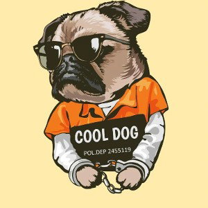COOL DOG MICHEL  (disco) DOG #3