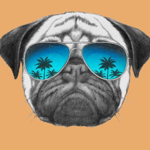 CHILL VIBES MICHEL (disco) DOG #6