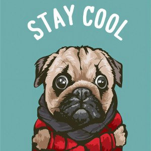 STAY COOL MICHEL (disco) DOG #2