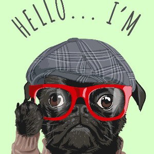 HELLO ... I'M MICHEL (disco) DOG #1