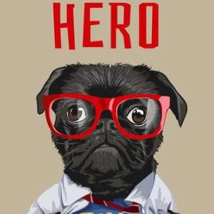 HERO MICHEL (disco) DOG #9 