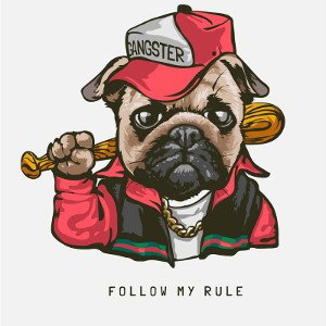 FOLLOW MY RULE MICHEL (disco) DOG #8