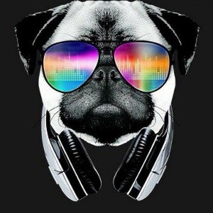AMANECER MICHEL (disco) DOG #10