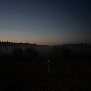 Мёртвые кролики