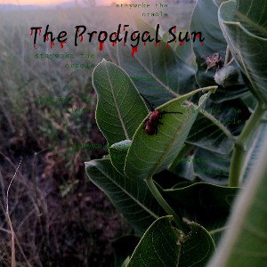 The Prodigal Sun