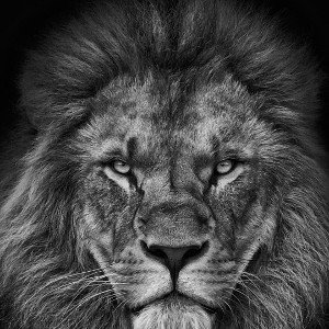 seek upon yourself in what you know