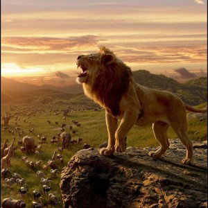 a world of Hakuna Matata