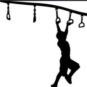 monkey bars