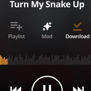 TURN MY SNAKE UP