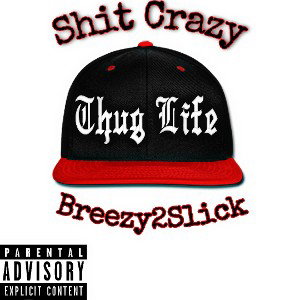 Shit Crazy 