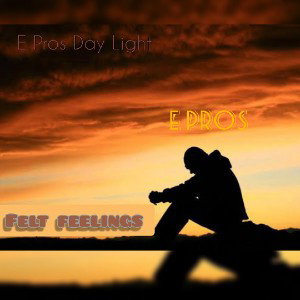 Felt feelings