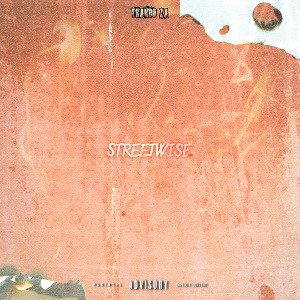 Streetwise (prod. @keziibeats)