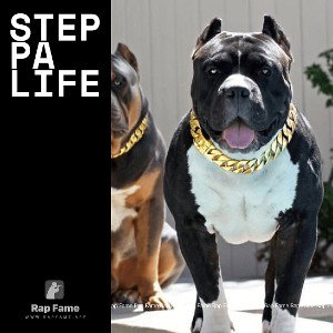 Steppa life