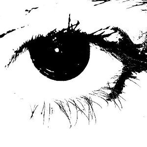 Yeux noir