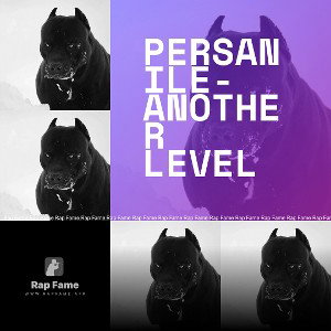 Persanile-Another Level