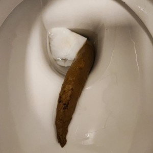 SKIBIDI TOILET