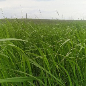 продолжай сражаться