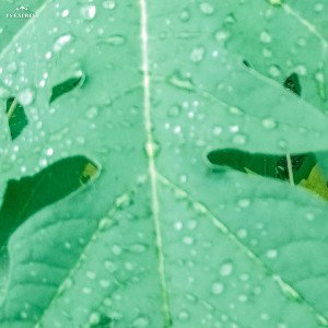 ßounce īt
