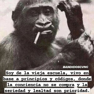 #SIEMPREREAL