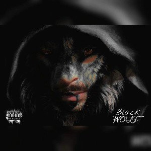“Boom Shaka”- Anarchy Wolf